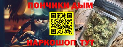 индика Рузаевка